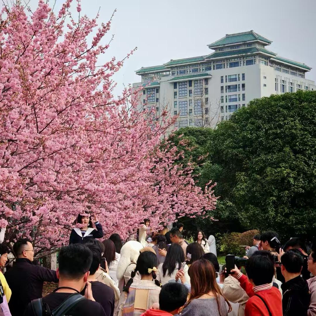 雷总同款大学博士牲