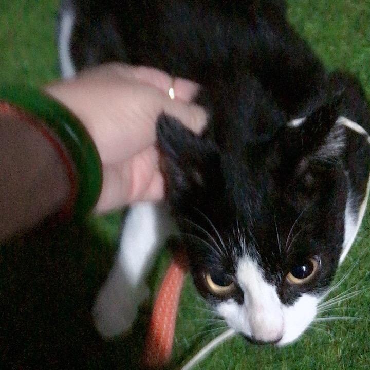 秀丽