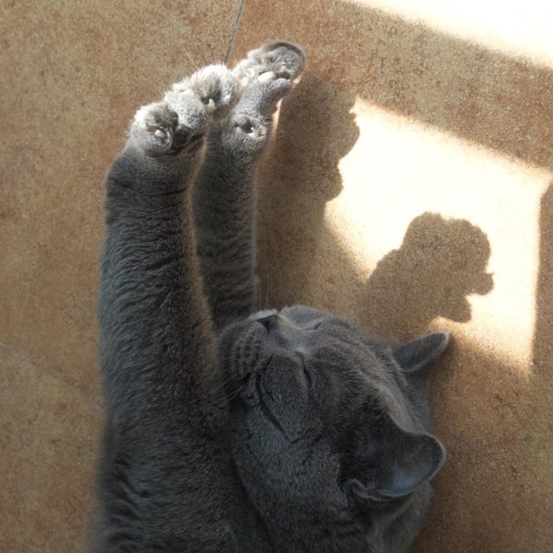 小徐爱吃番茄炒蛋🍅