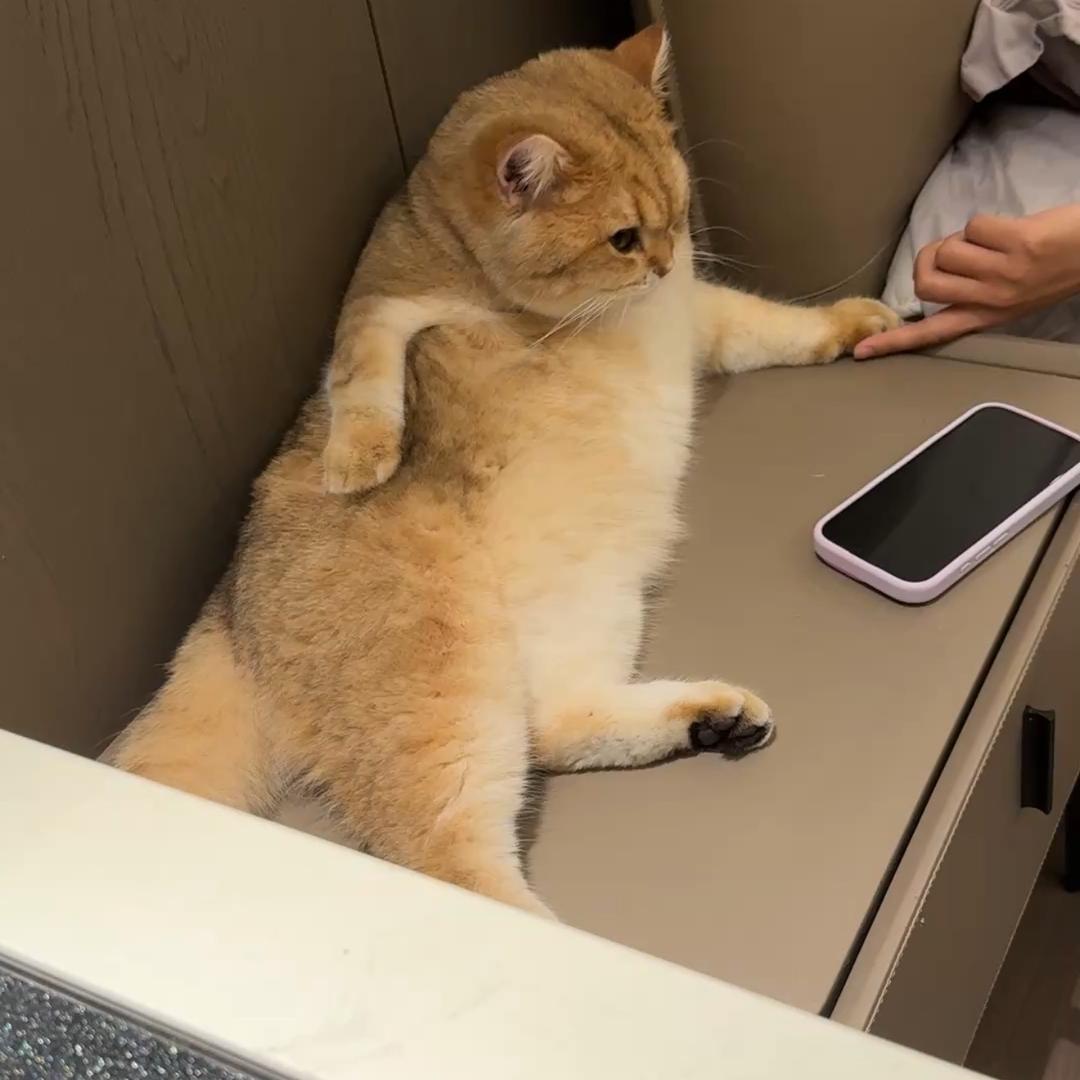 长得丑就读书