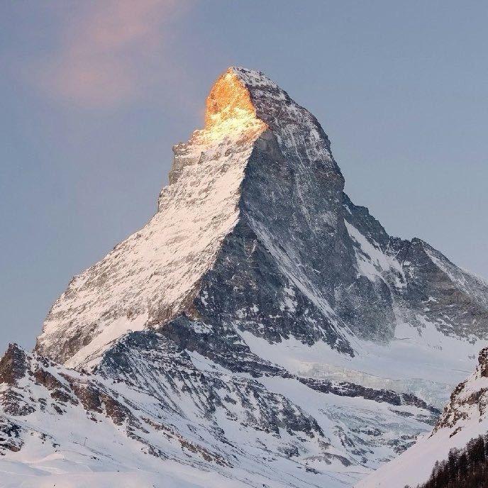 纵使流年坠星河