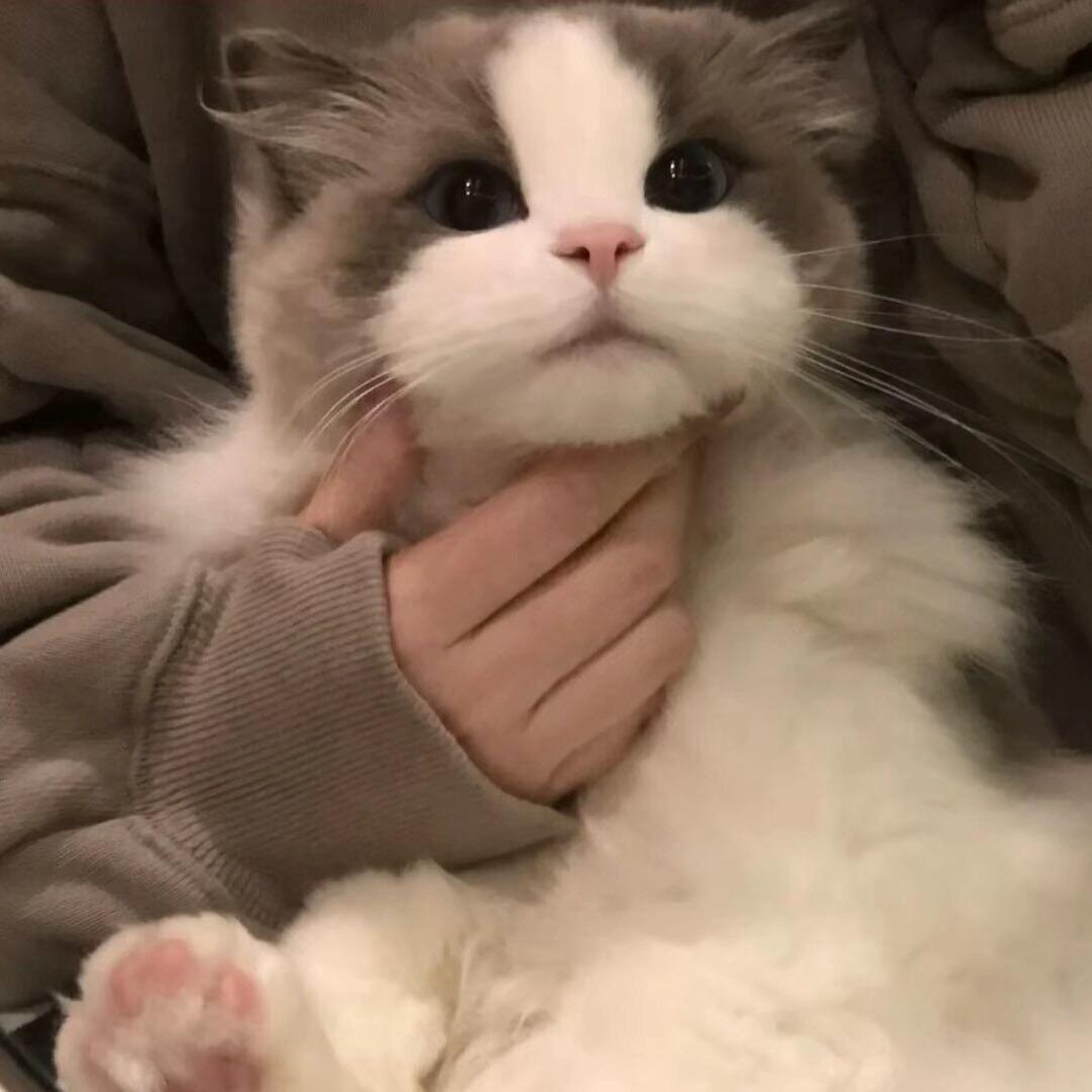 ㅤ ㅤ ㅤ