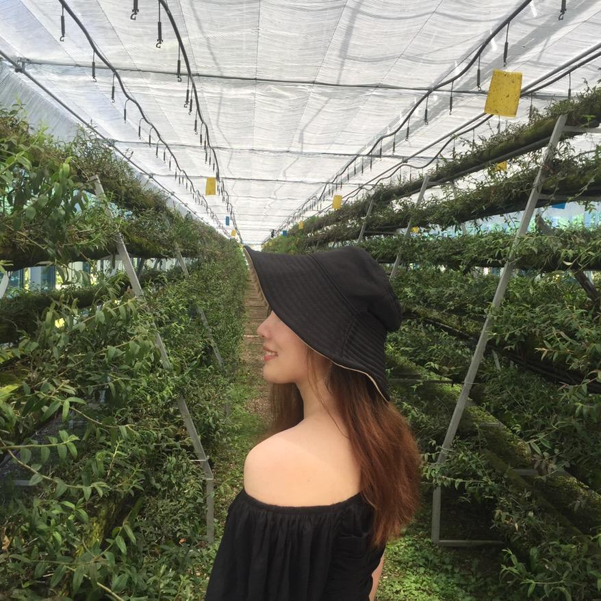 小丸子【女飞手】