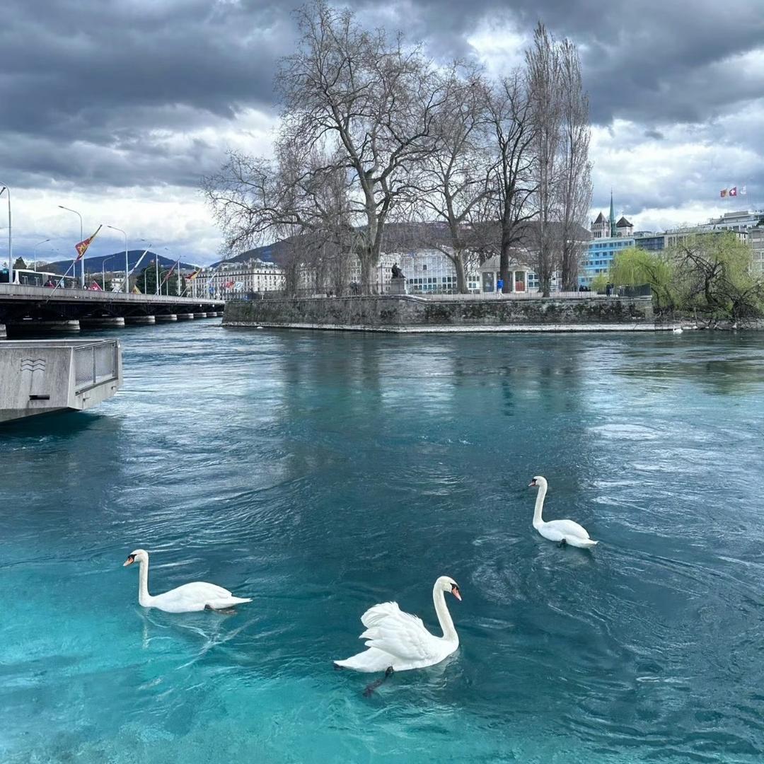 爱送货的印度佬