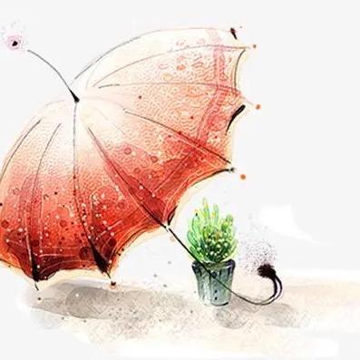 豫雨伞业