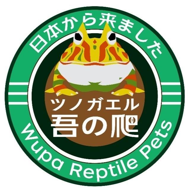 爬宠吾爬主理人