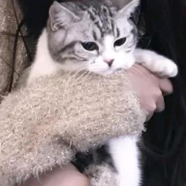 悠悠智能家居推荐12