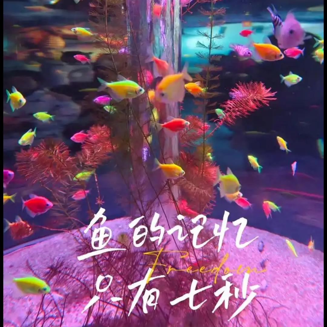 七秒