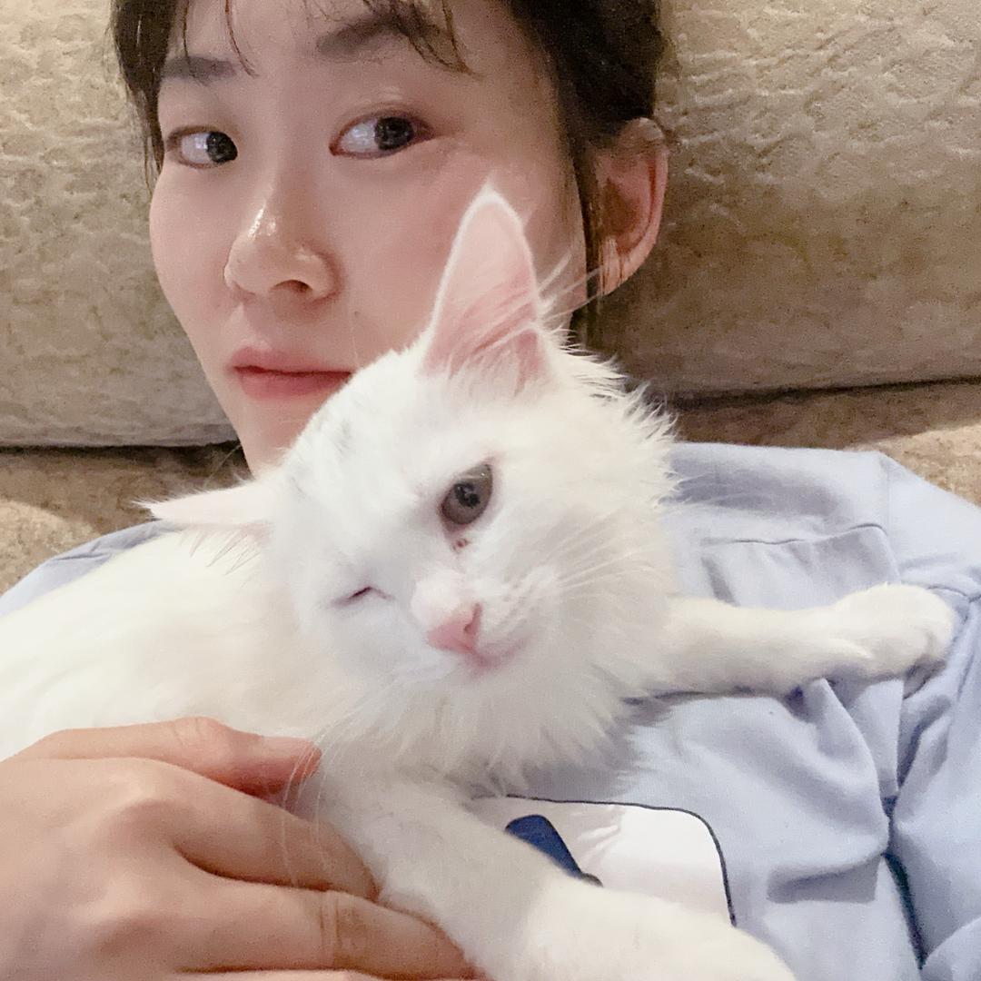 。。。。。。。