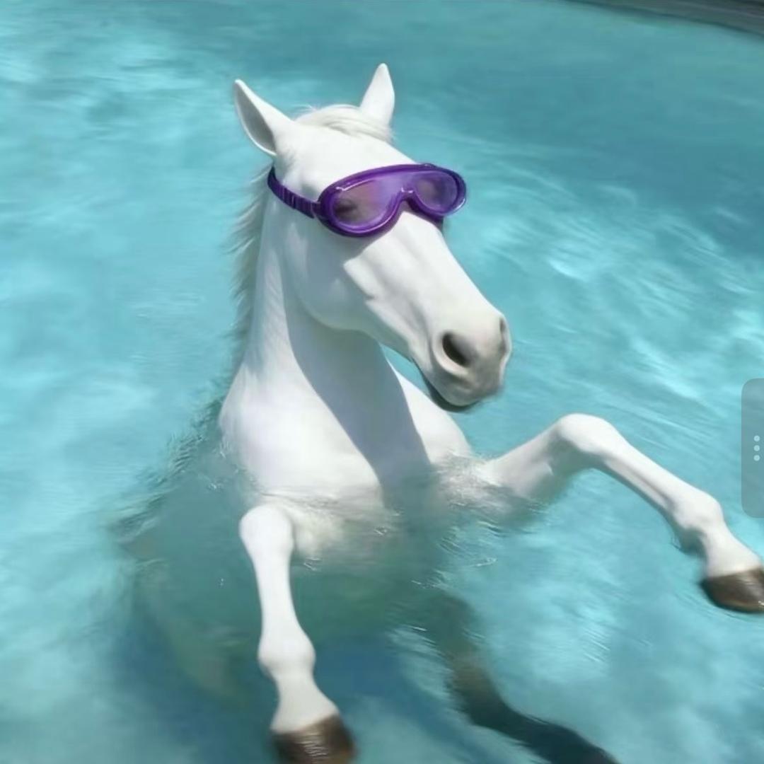 钱辈请和我交往.