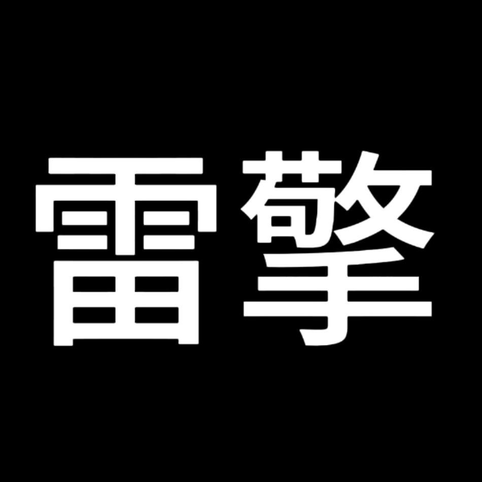 雷擎电子