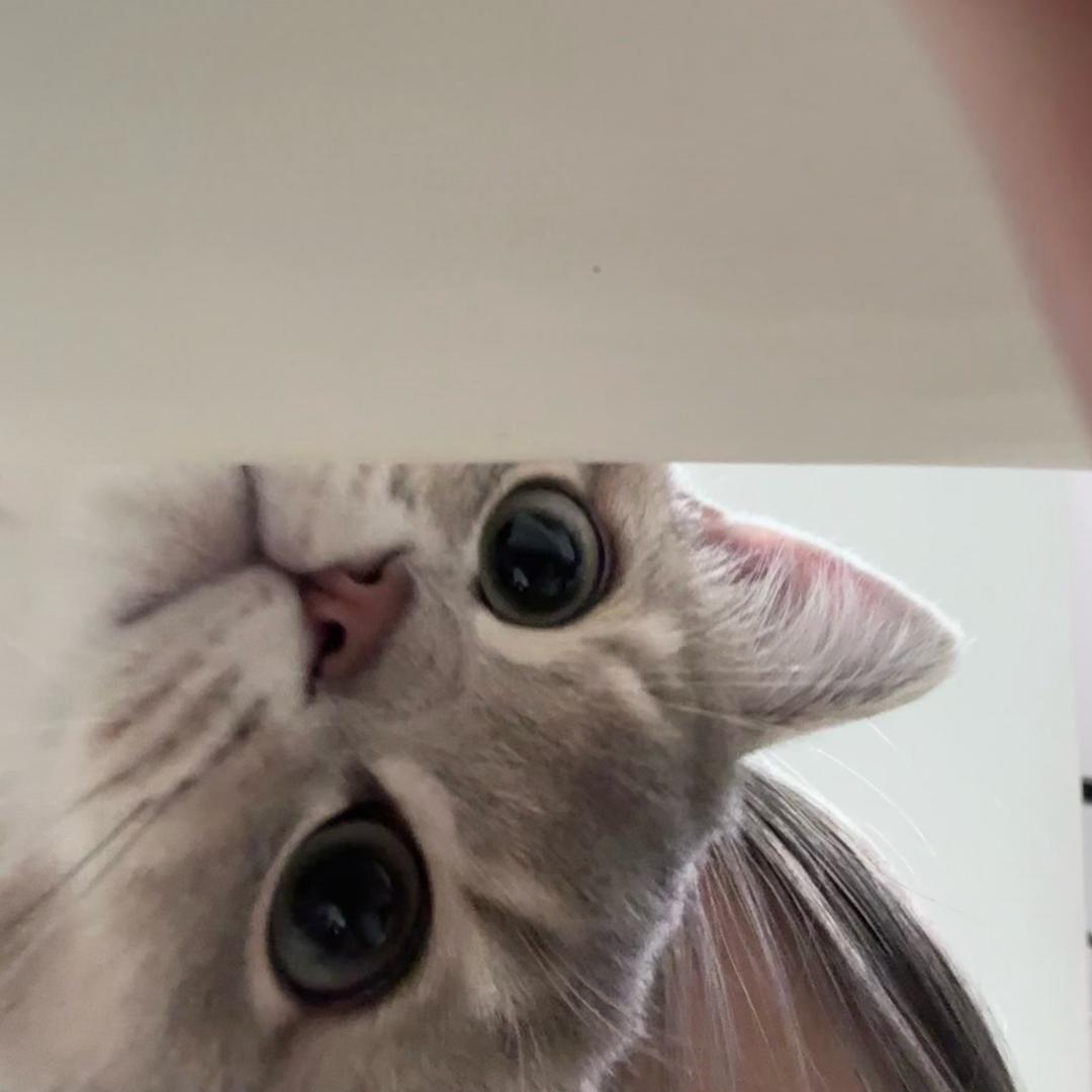 每天都好困•̩̩̩̩ᯅ•̩̩̩̩