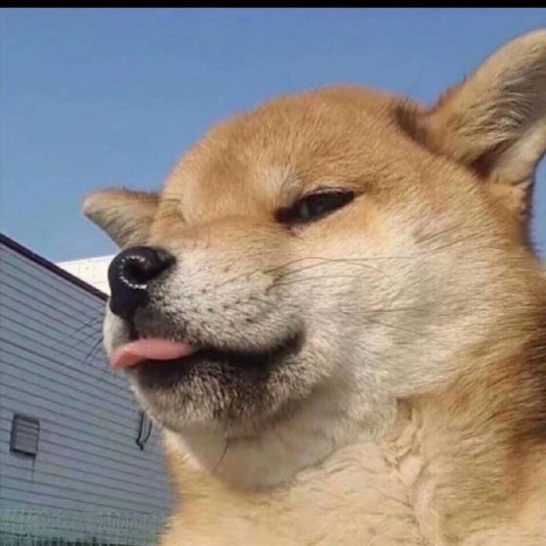 吃不够的蛋炒饭