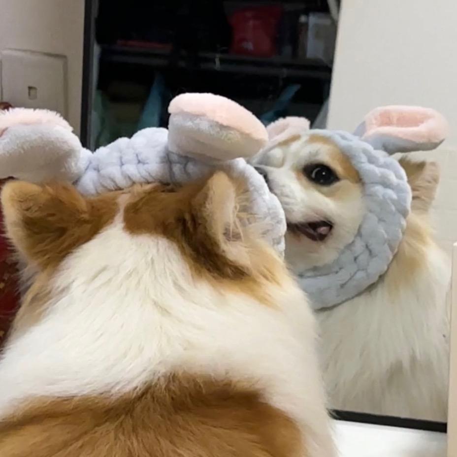 熊2