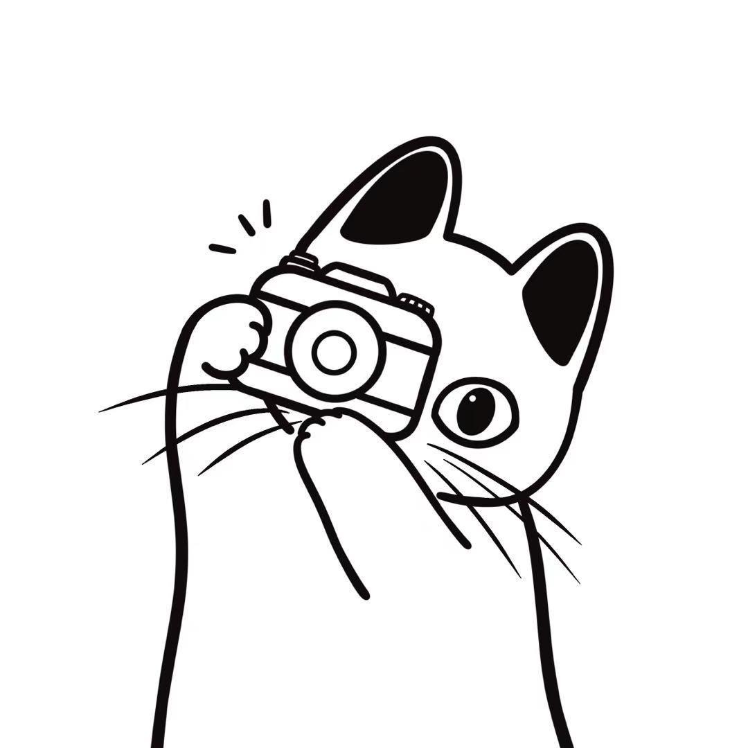 猫影