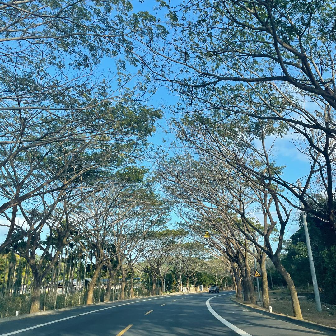 妙手罗老师-小本