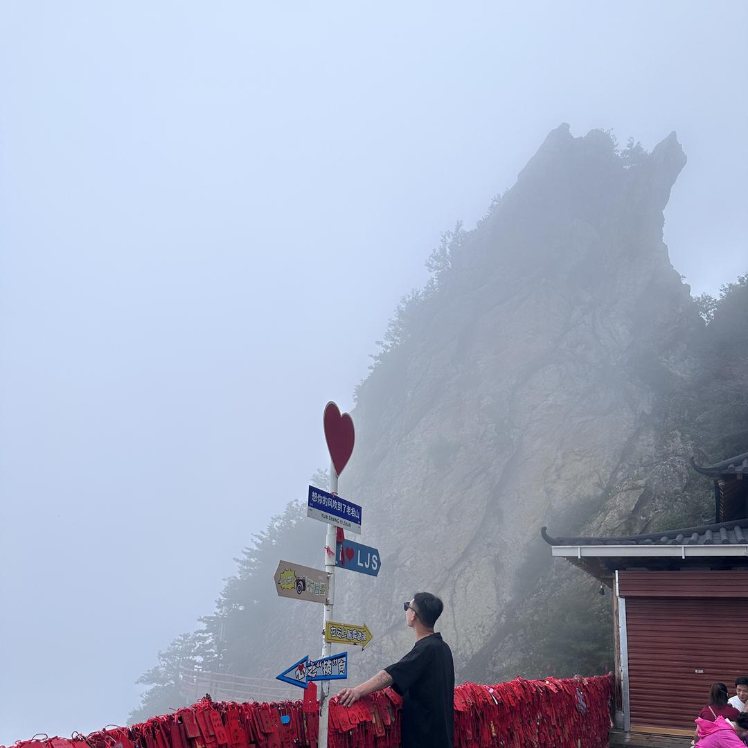 遇见法师多肉基地