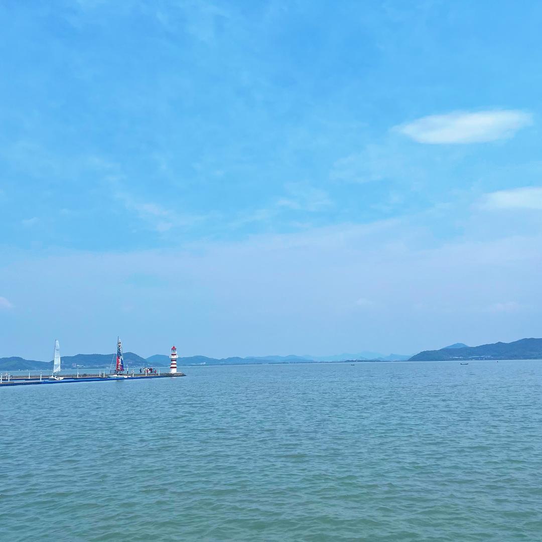 莉莉