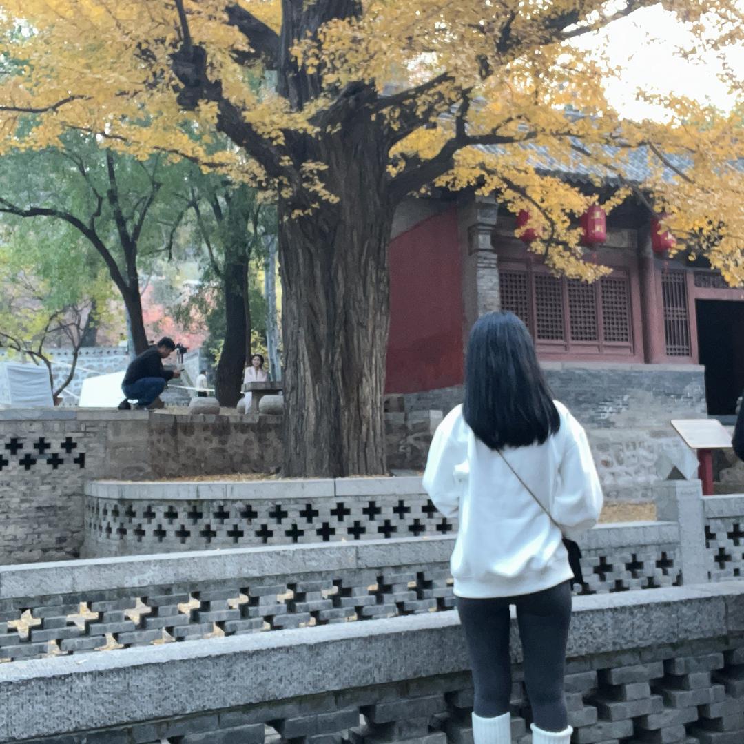瘦不下来是小狗。