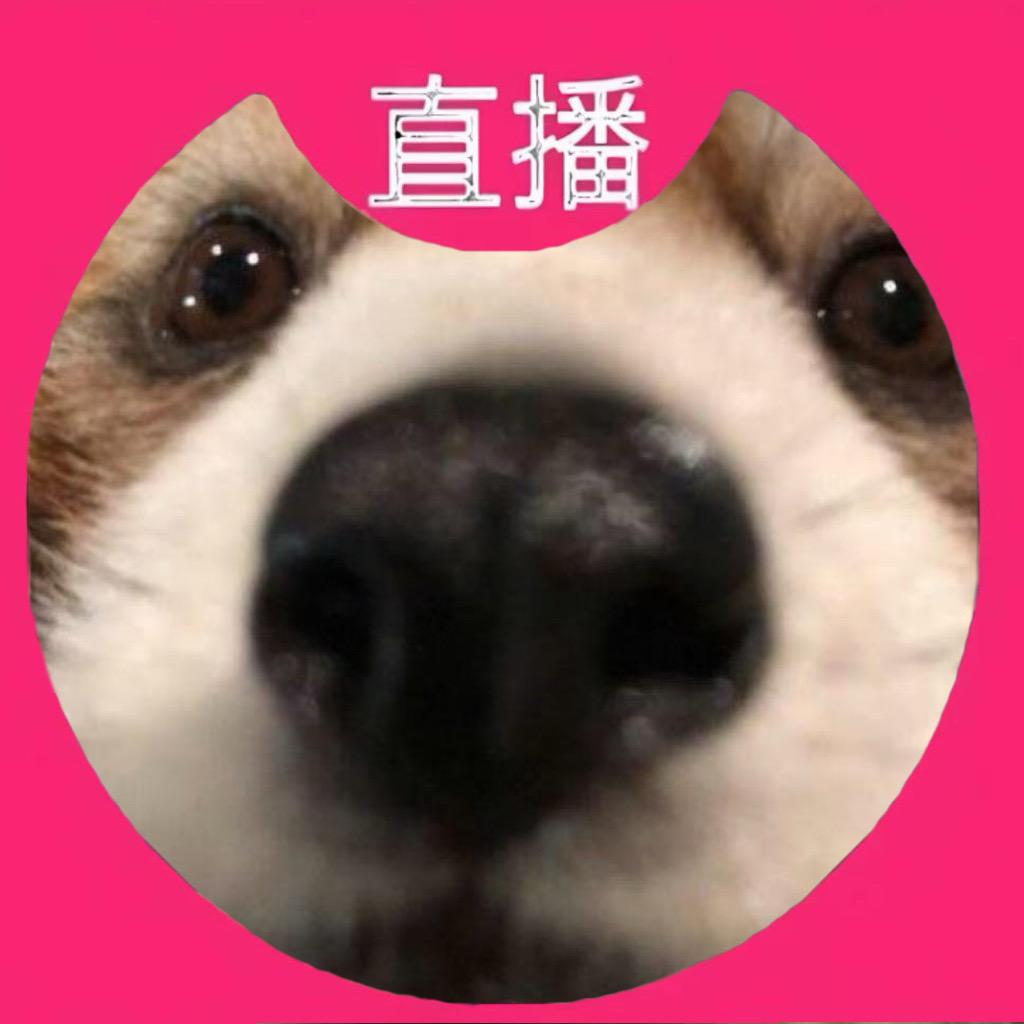 小点侦探