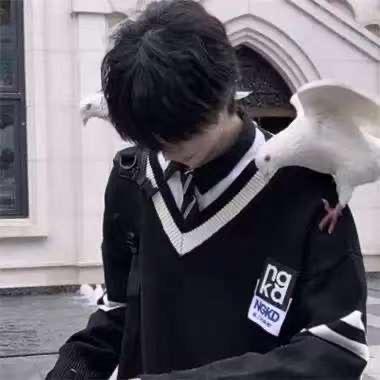 ⭐️昭昭如愿⭐️