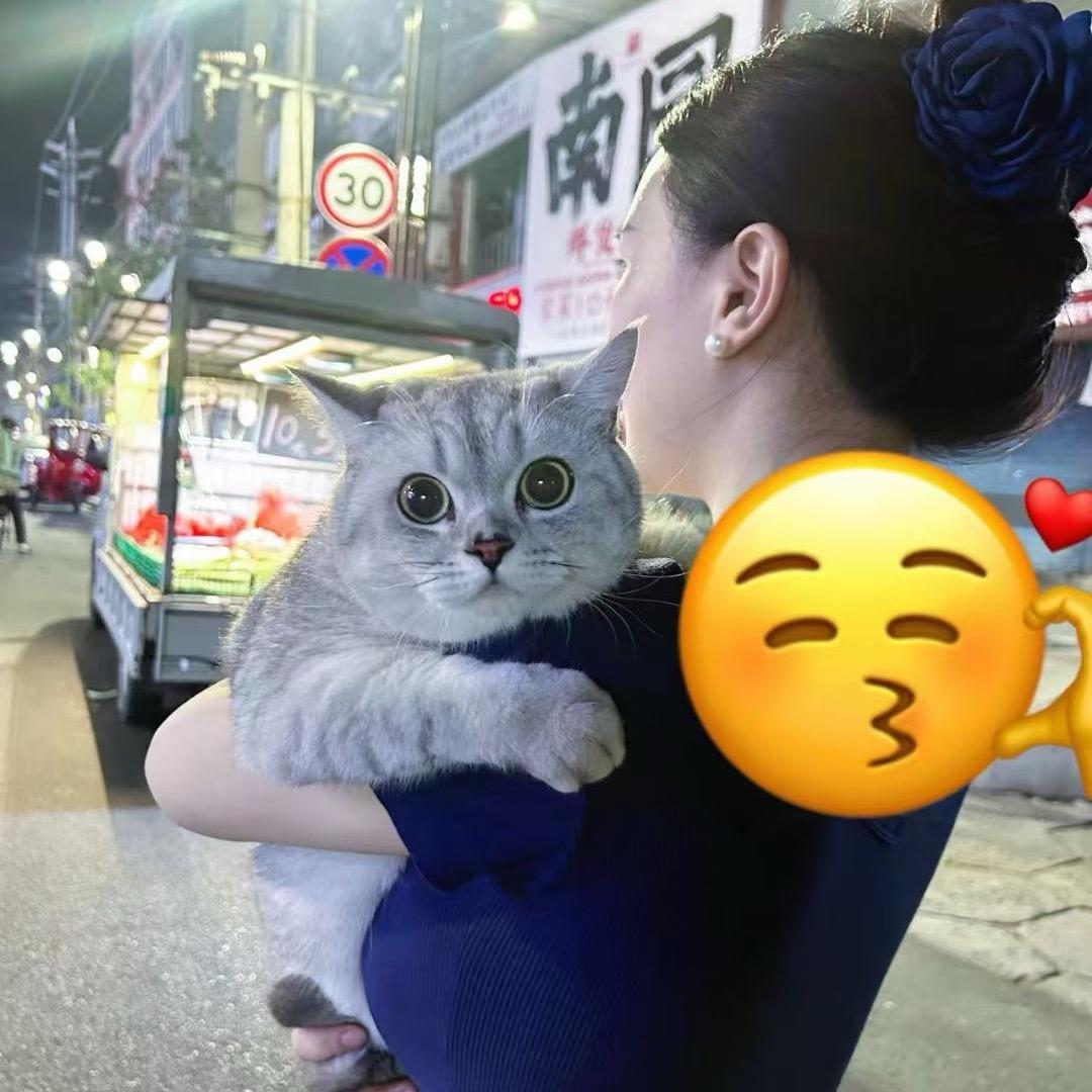 桃子🍉