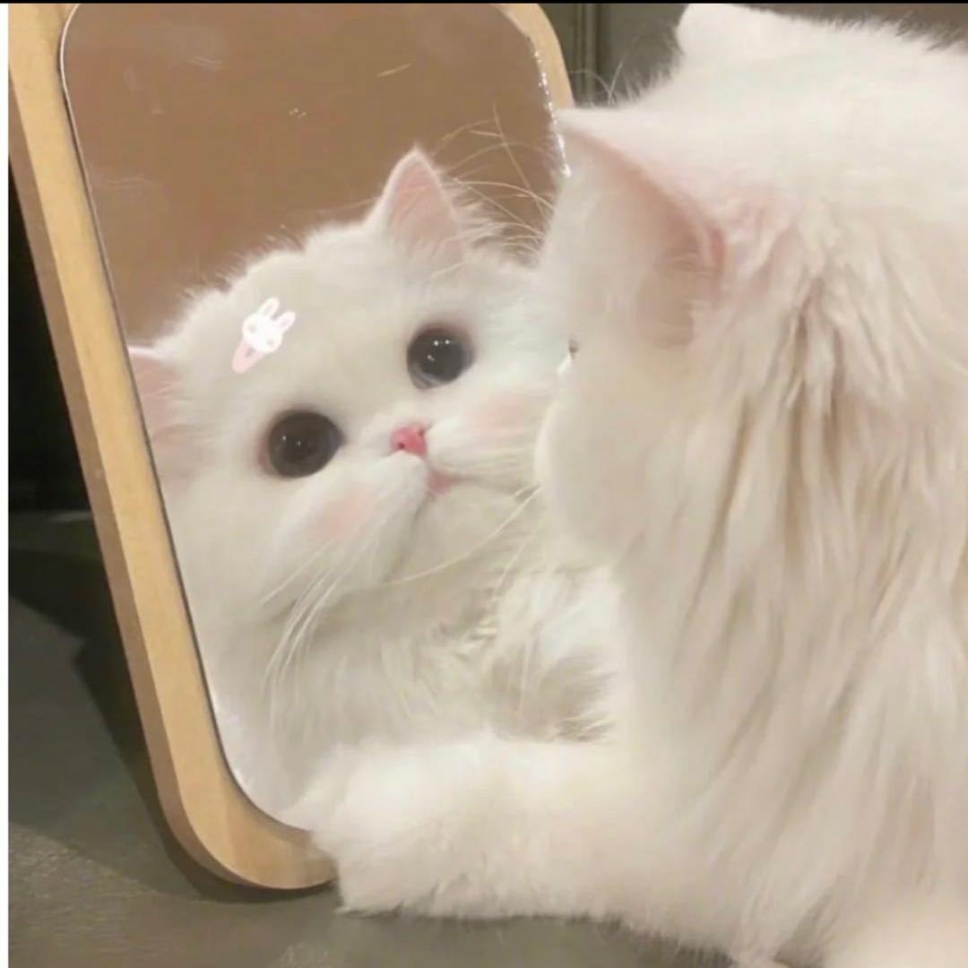 不如意