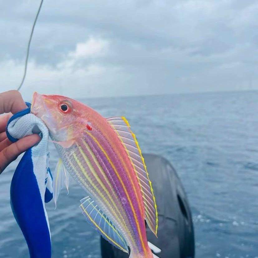 郑州商务KTV预定1