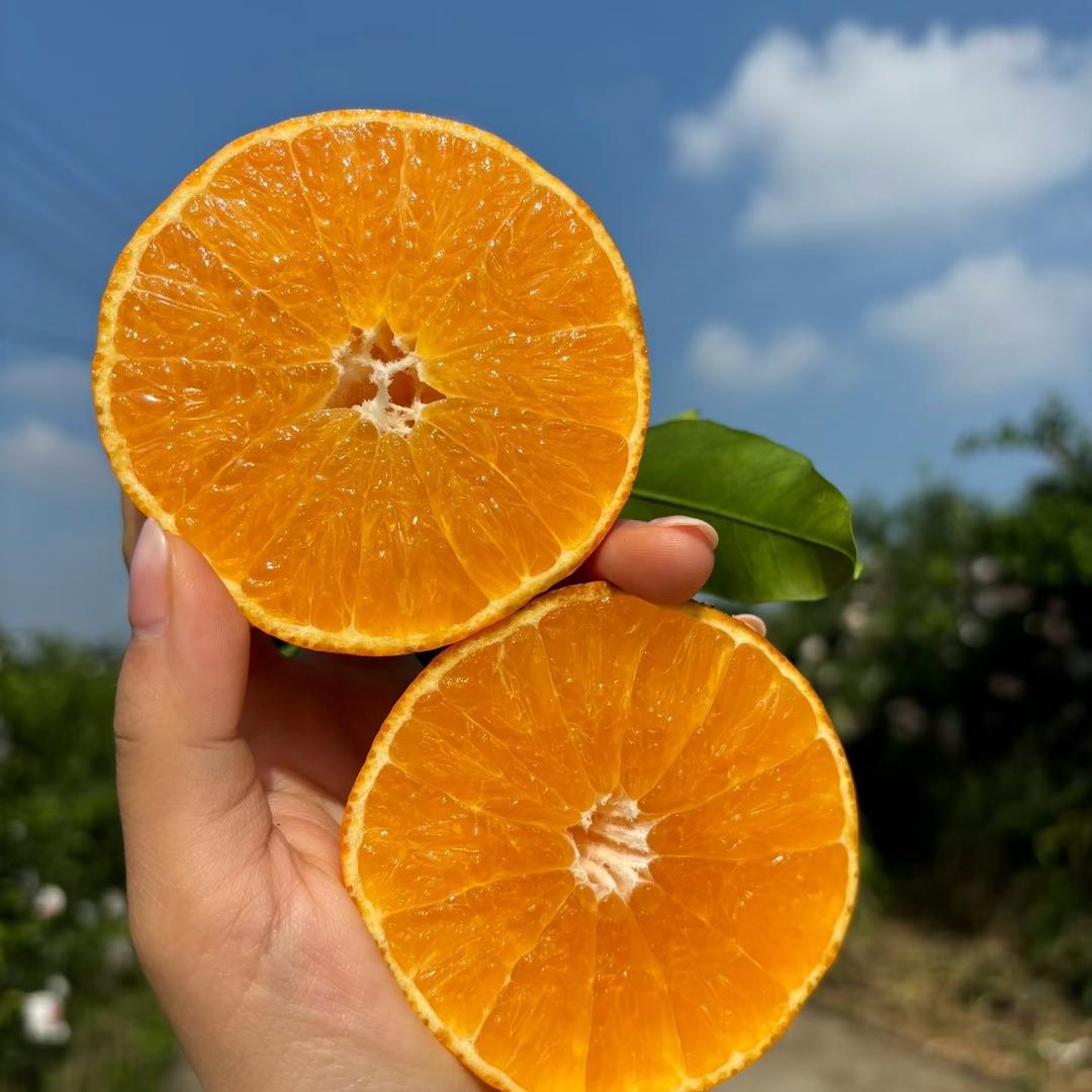 平安喜乐🍊