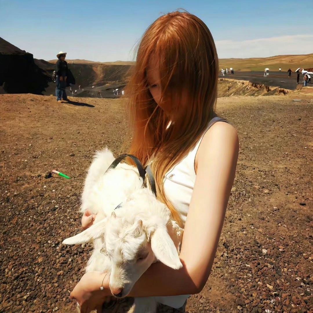 鱼板小面