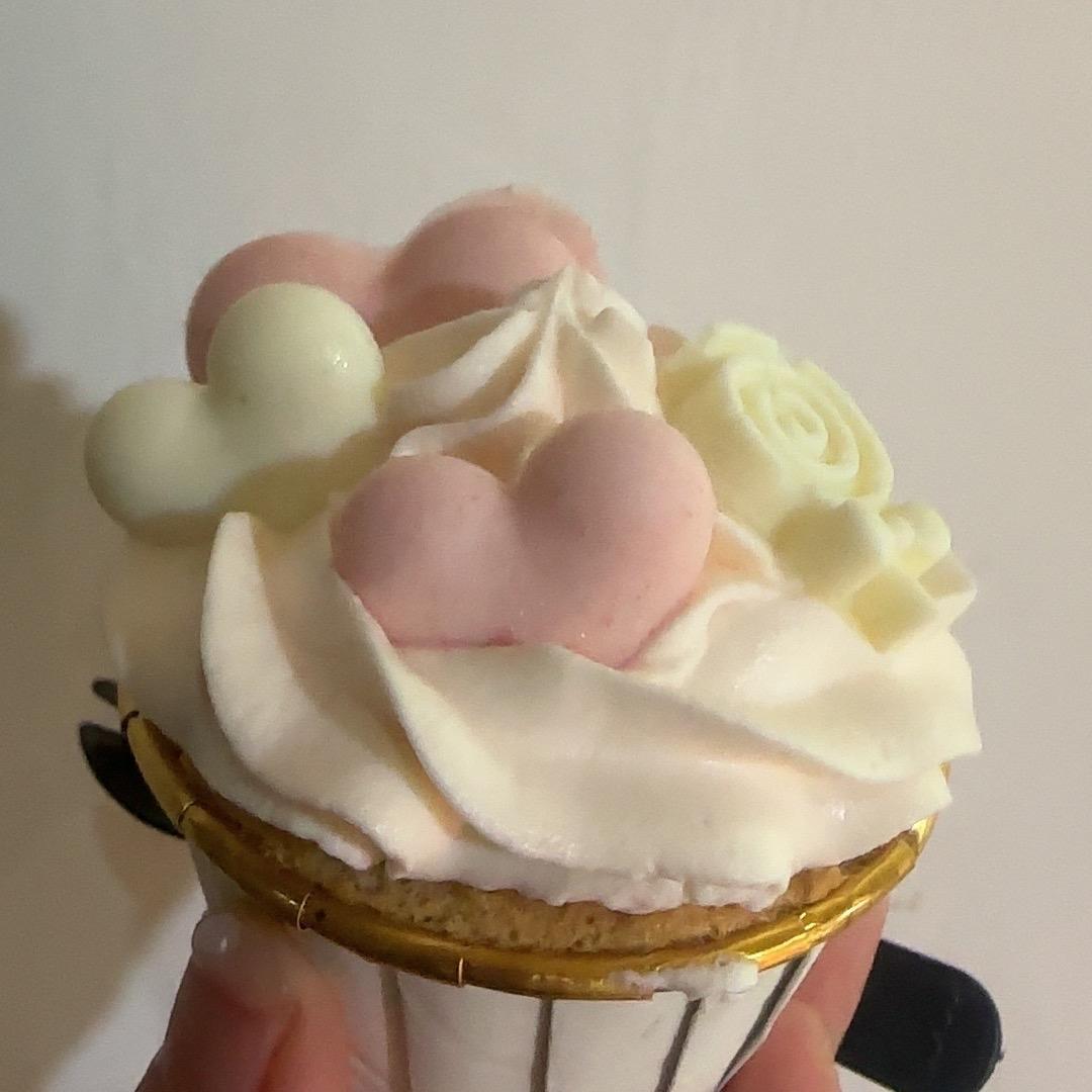 @꧔ꦿ᭄࿐ᩚ: 傻小猪🐷ᥫᩣ໌້ᮨ