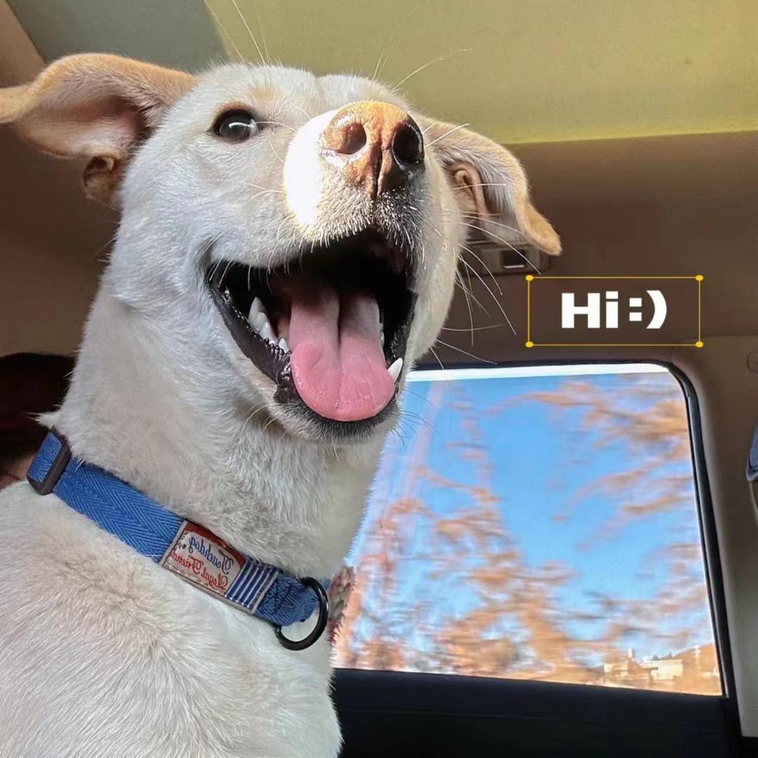 迪士尼米奇（三角洲行动）