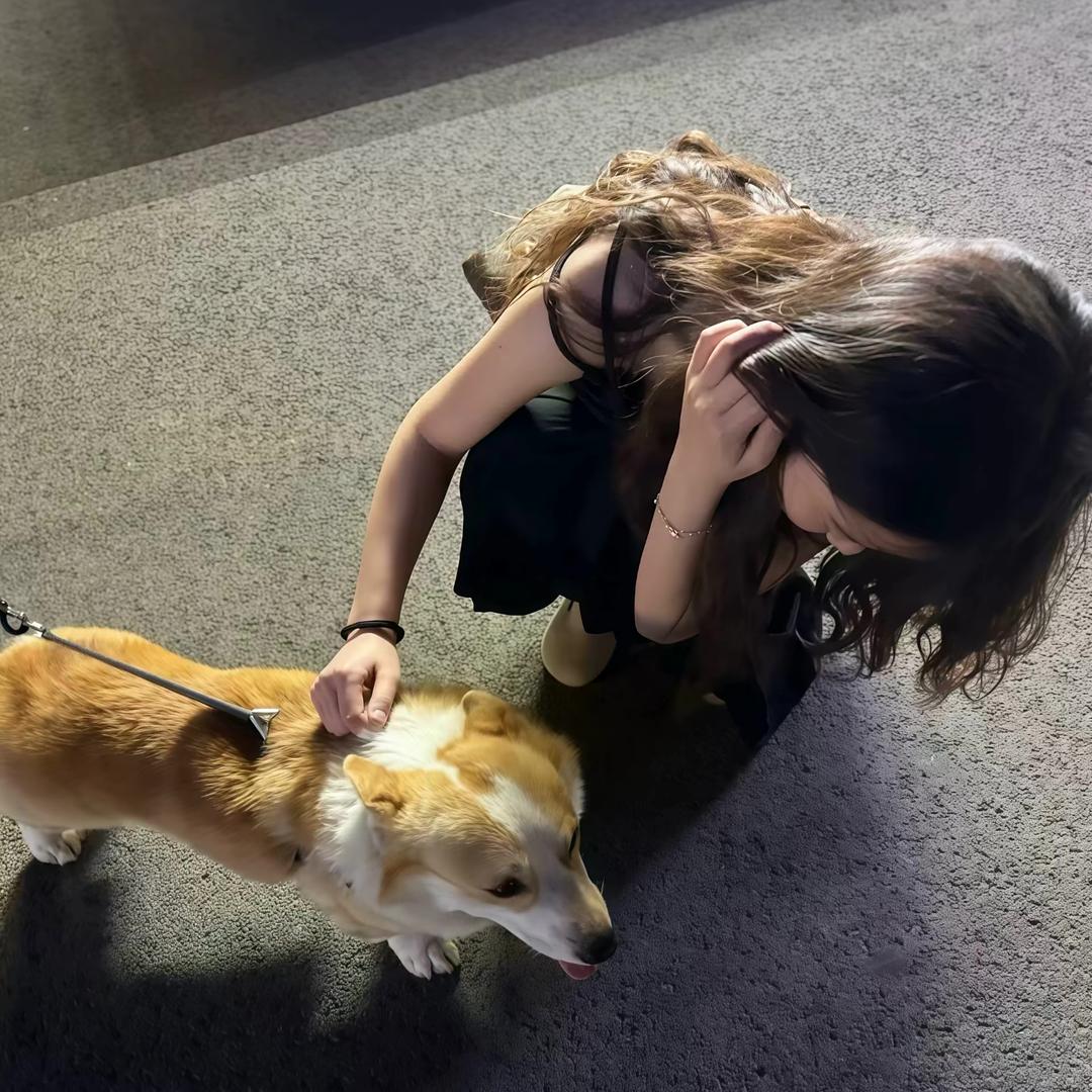 慧慧