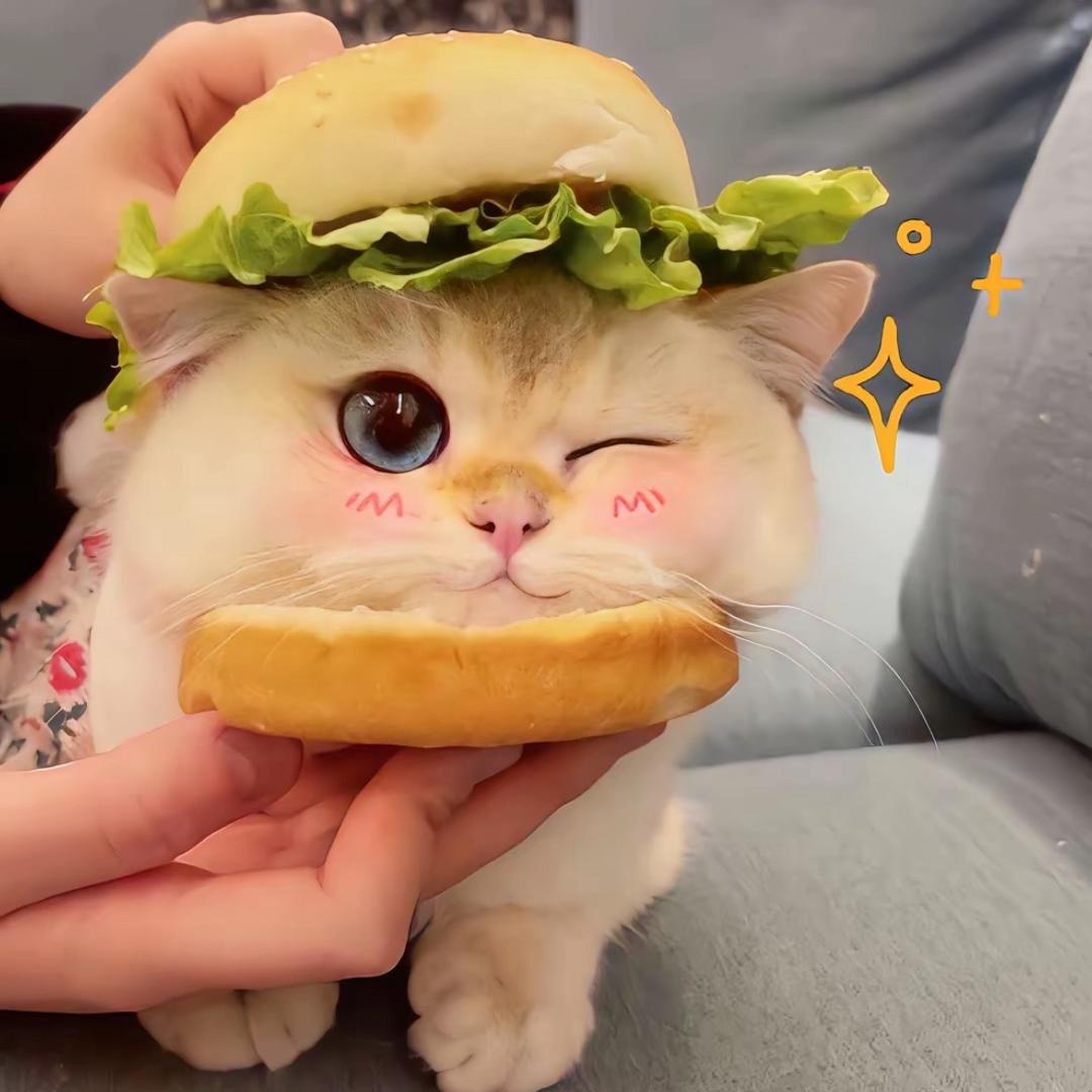 可爱猫手作捏捏(正版授权店)