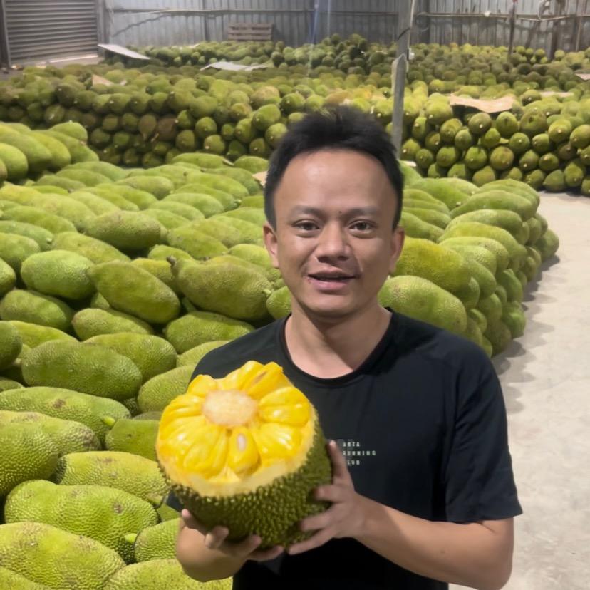 鲜果时达菠萝蜜