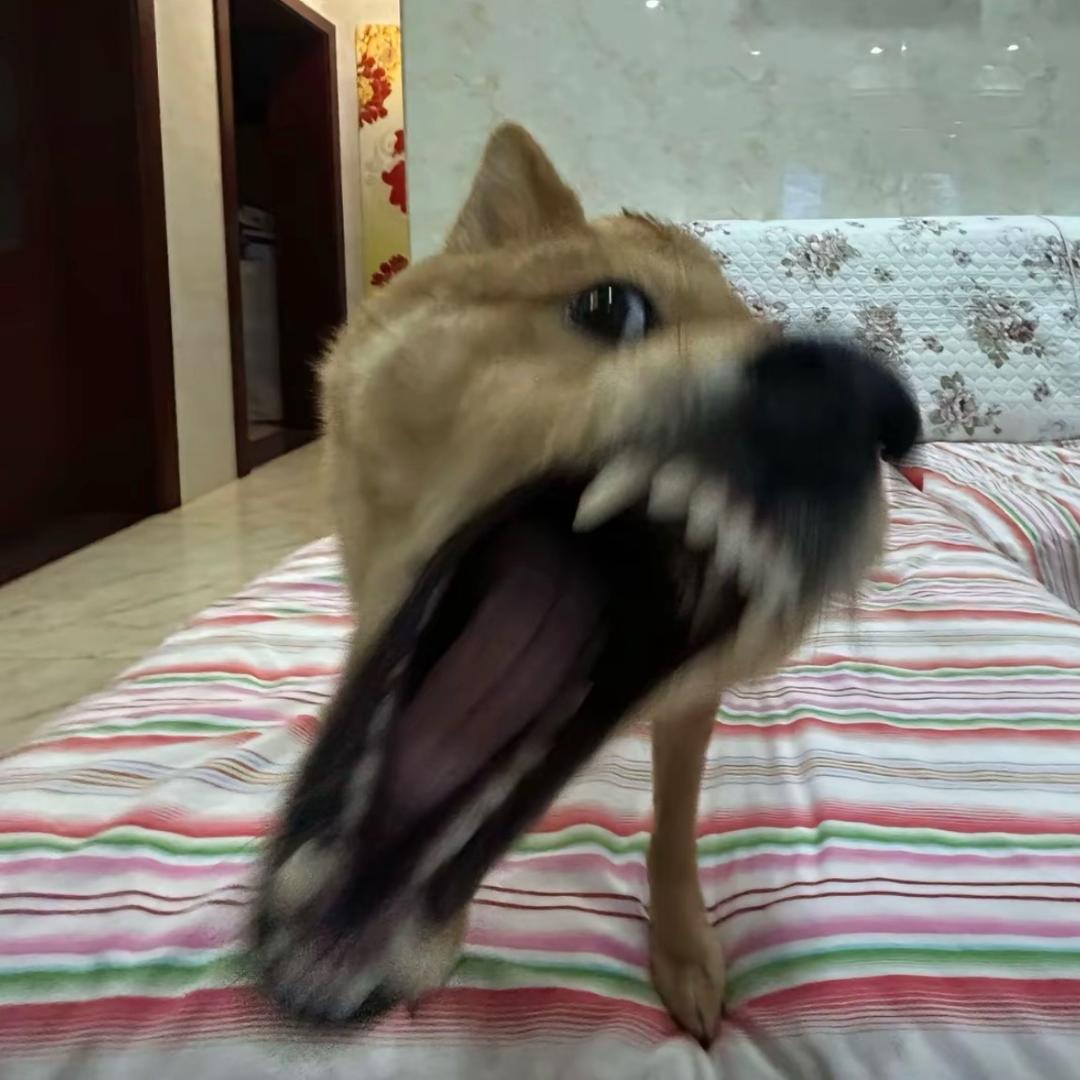 利群还我少萝音