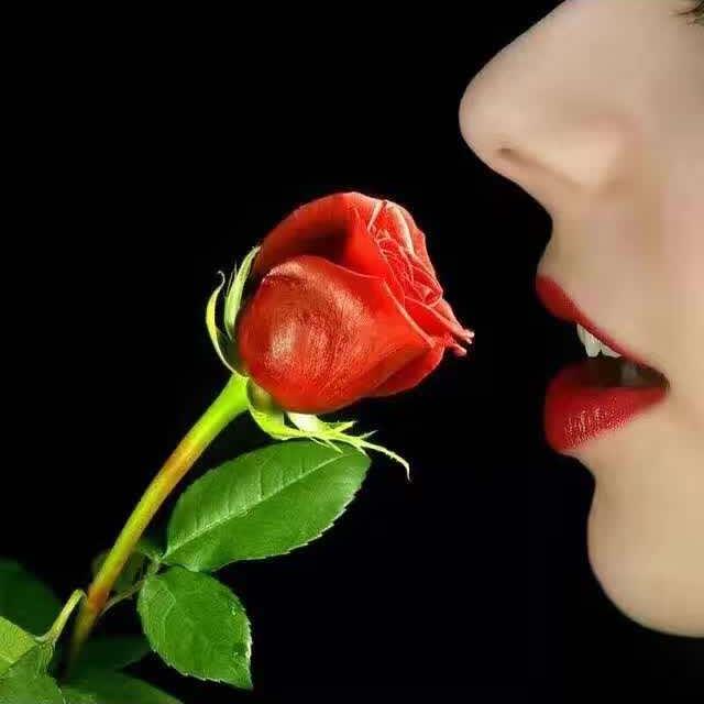 全福元百货岁月静好 🌹 🌹