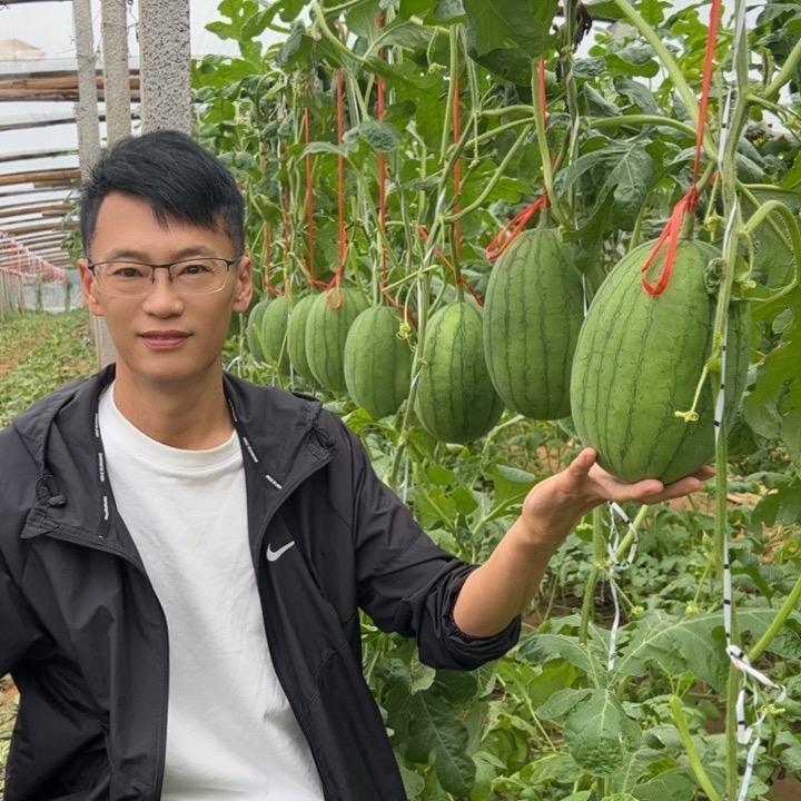 克杰农业（礼品西瓜）