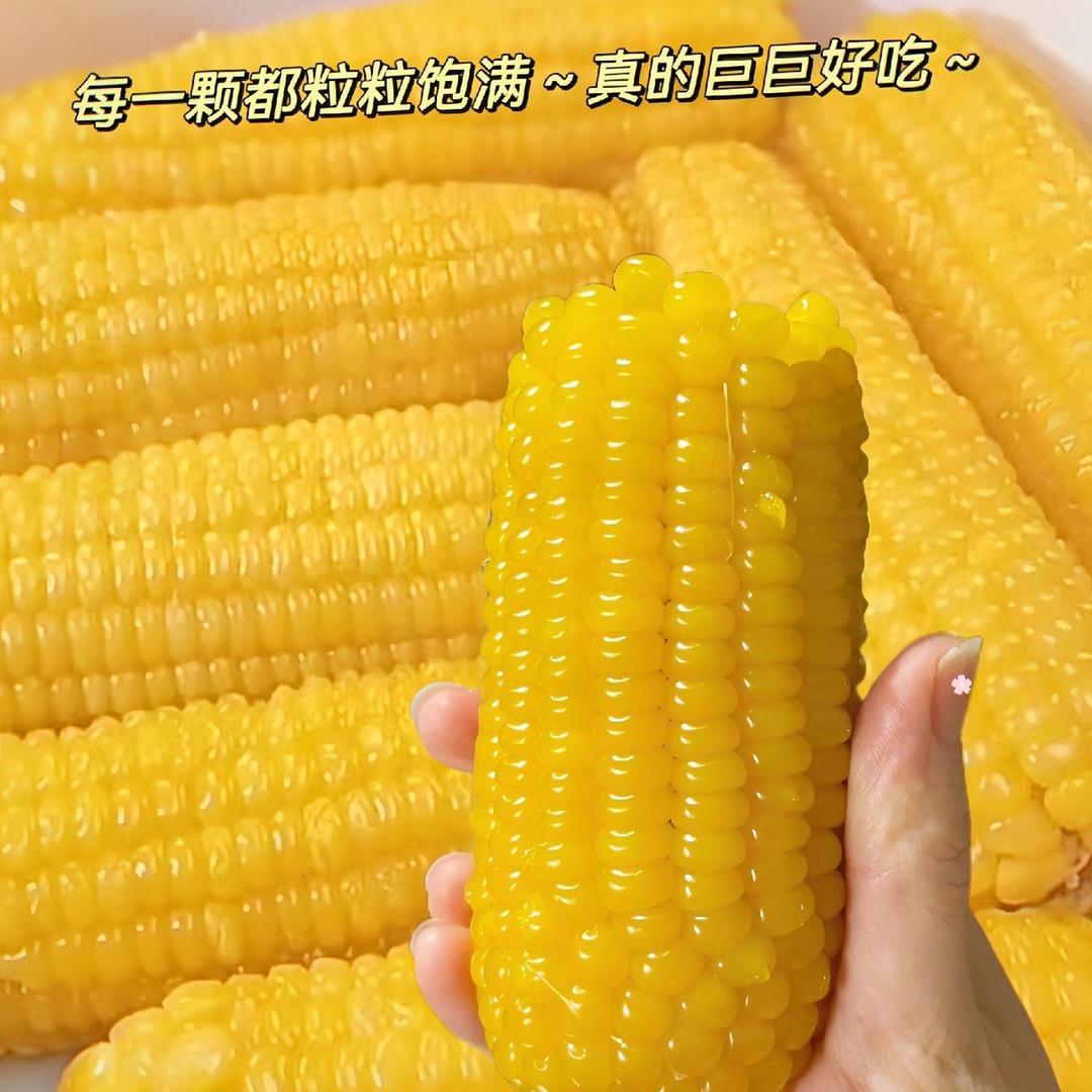 糯玉米专场七
