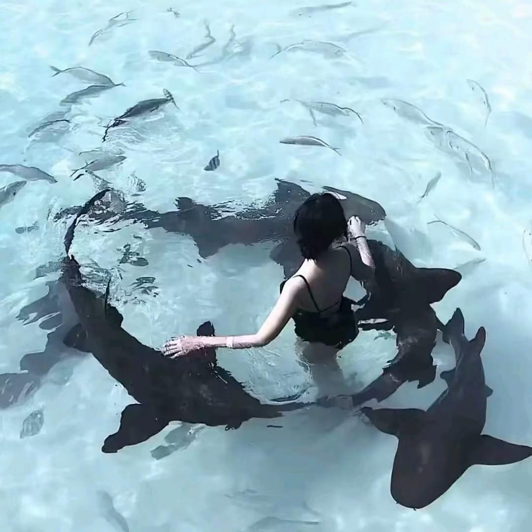 黎吧啦🫧