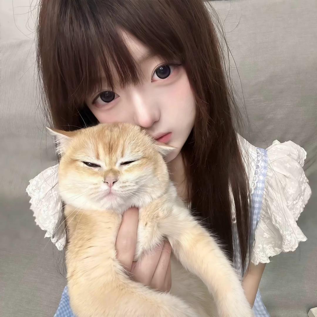 呆呆
