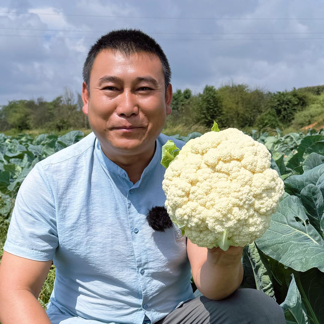 仝光辉·绿原春农业