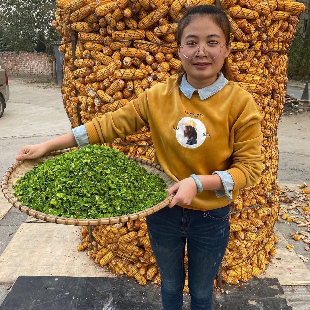 和之然干菜厂家