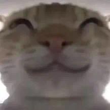 awei