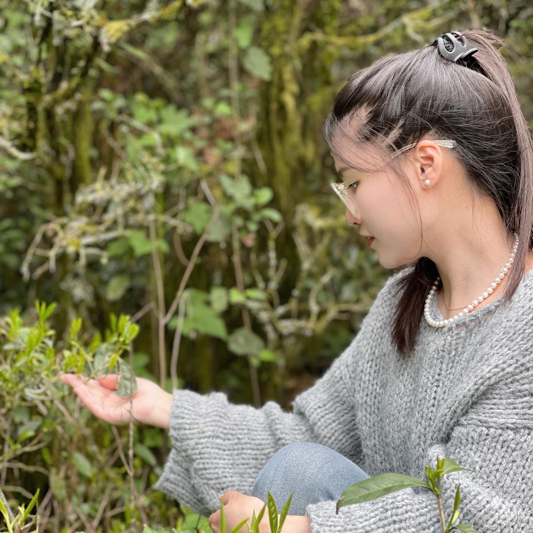 倪美丽深山石斛花