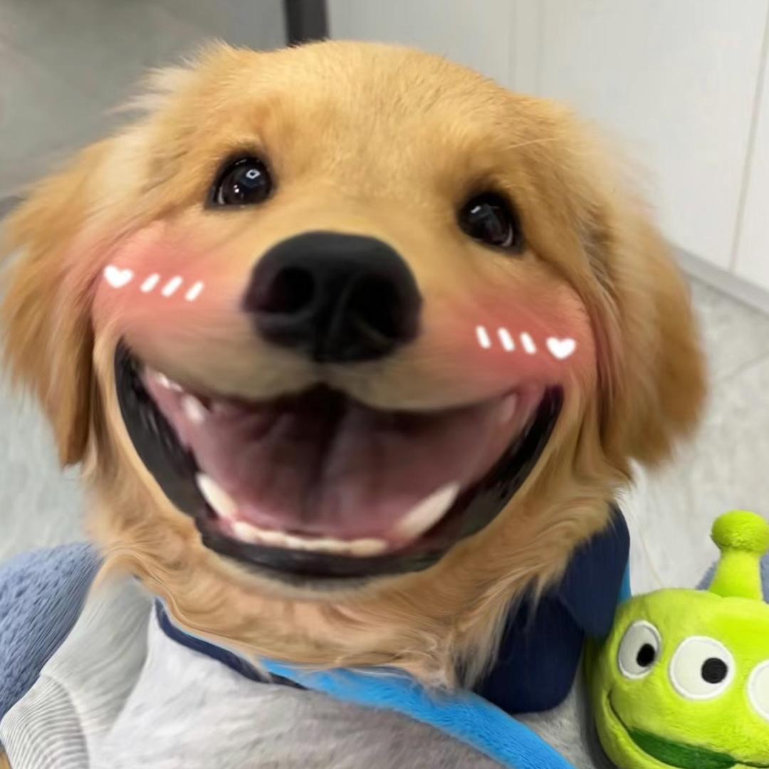 金宝宝宝
