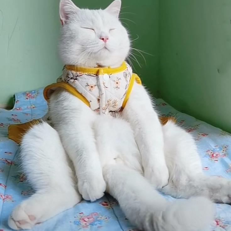 怡³ღ💌ღ