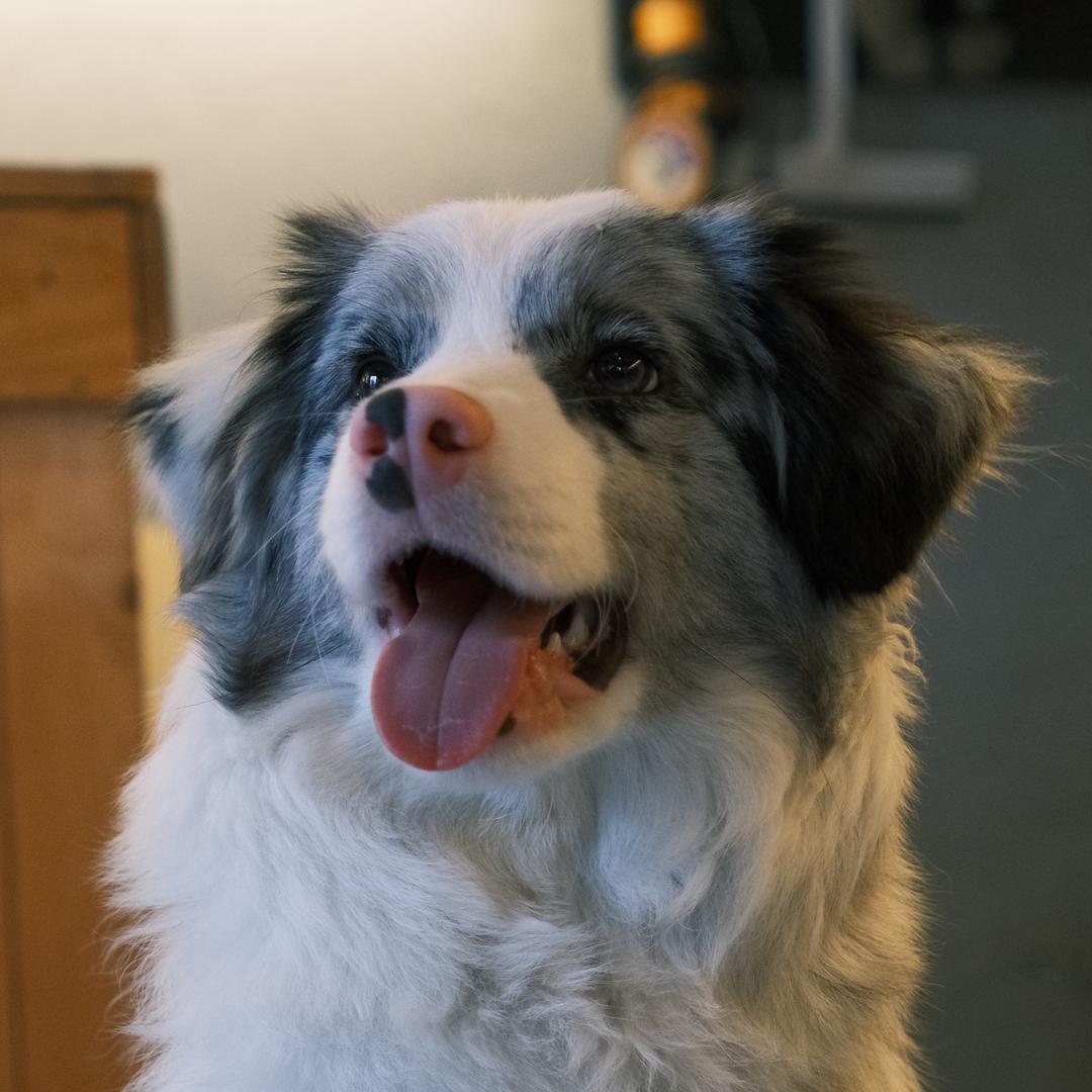 冰美式是只陨边