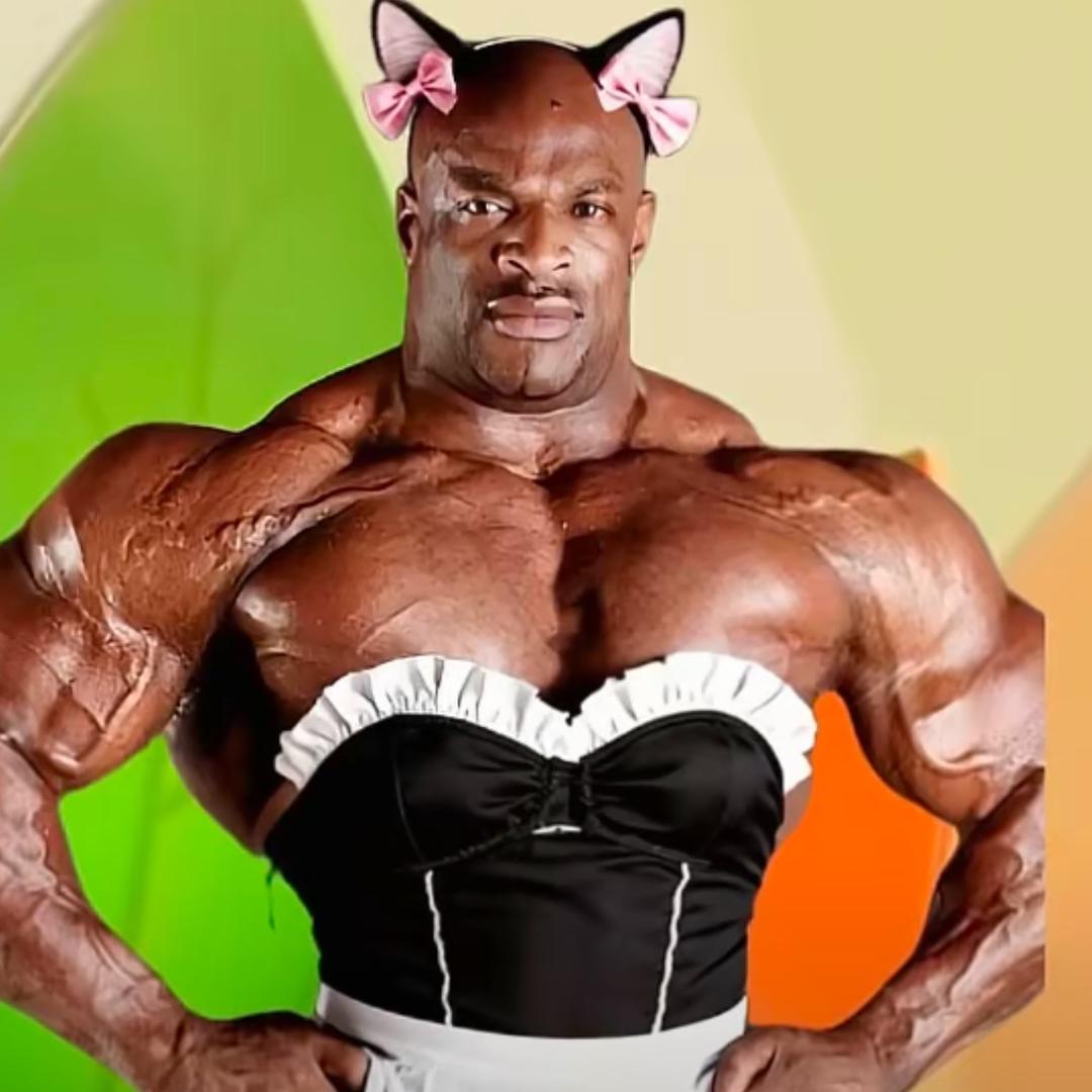 忧郁的猪肉（增脂中）