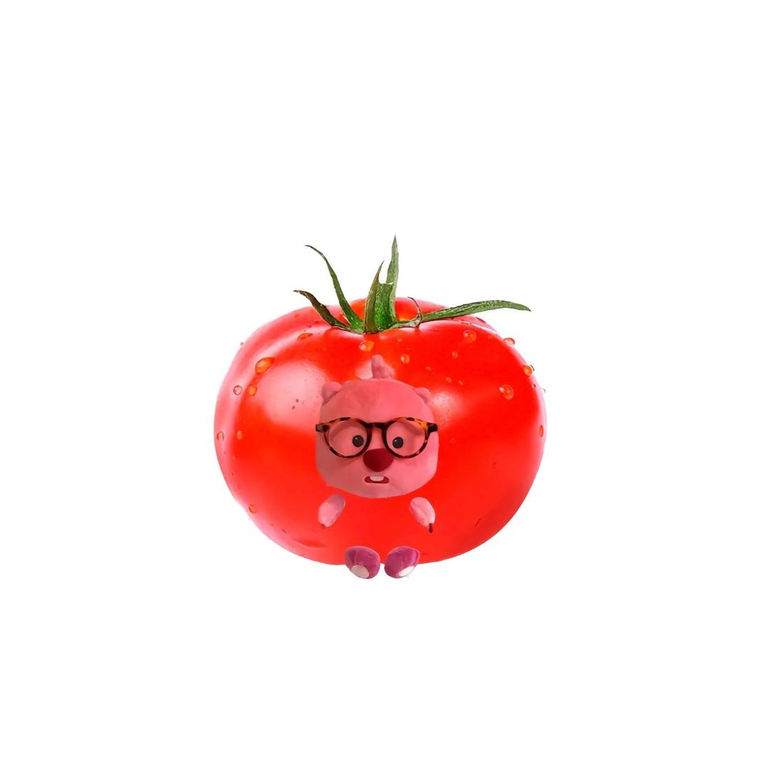 丁酸酸＞₋＜